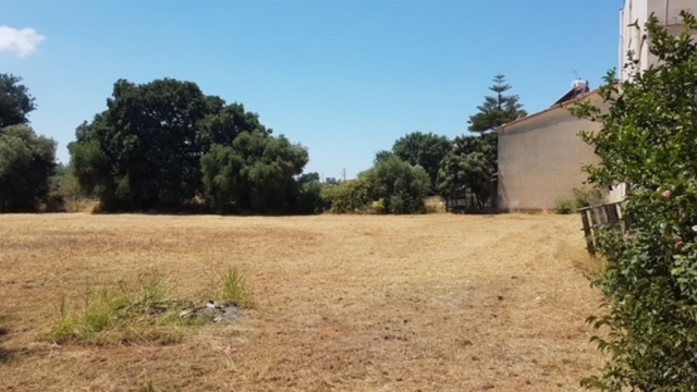 (For Sale) Land Plot || Ileias/Amaliada - 2.020 Sq.m, 520.000€ 