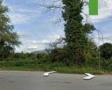 slide1 thumbnail