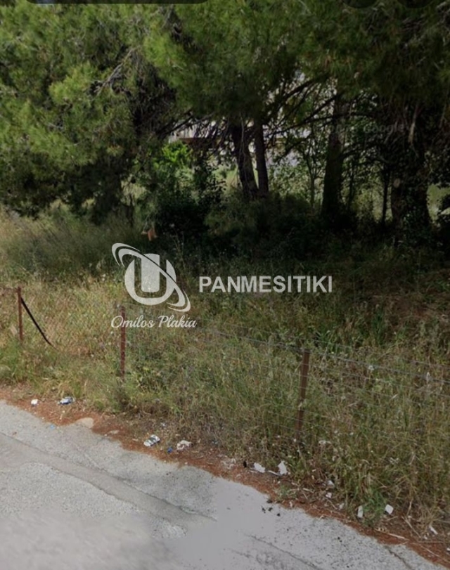 (Προς Πώληση) Αξιοποιήσιμη Γη Οικόπεδο || Ανατολική Αττική/Διόνυσος - 820 τ.μ, 230.000€ 